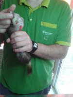 /album/fotogaleria/vnv-2013-03-19-12-54-45-jpg/